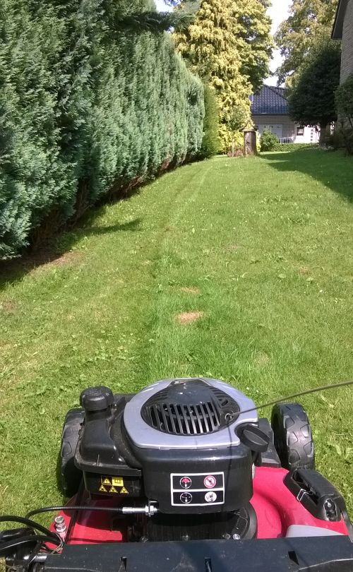 grasmaaien